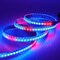WS2812B 5V 5050 RGB LED Strip 1-5M 30 60 144 150 300 Leds Individual